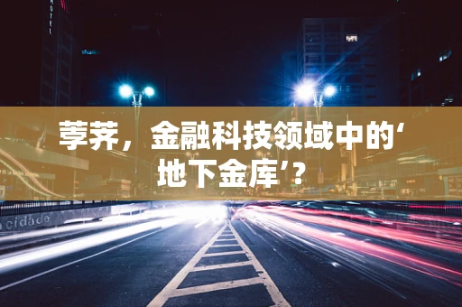 荸荠，金融科技领域中的‘地下金库’？