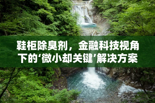 鞋柜除臭剂，金融科技视角下的‘微小却关键’解决方案