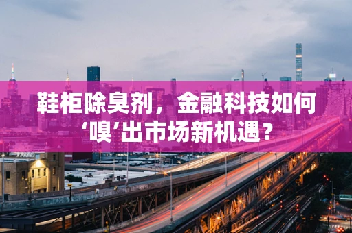 鞋柜除臭剂，金融科技如何‘嗅’出市场新机遇？
