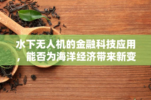 水下无人机的金融科技应用，能否为海洋经济带来新变革？