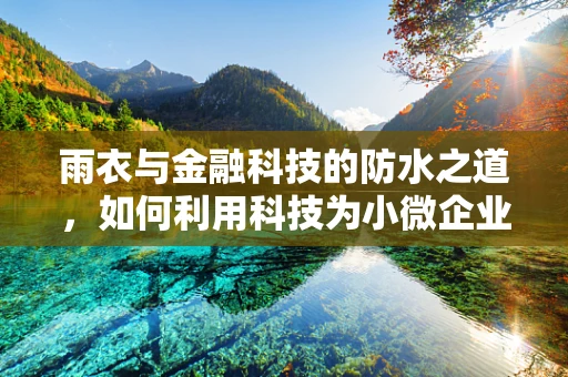 雨衣与金融科技的防水之道，如何利用科技为小微企业穿上防护服？
