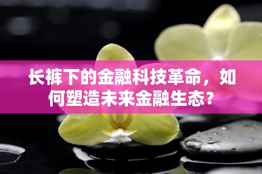 长裤下的金融科技革命，如何塑造未来金融生态？