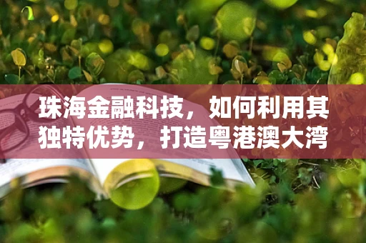 珠海金融科技，如何利用其独特优势，打造粤港澳大湾区的创新高地？