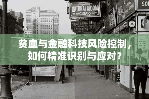 贫血与金融科技风险控制，如何精准识别与应对？