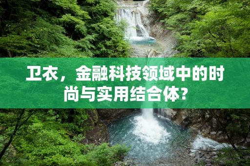 卫衣，金融科技领域中的时尚与实用结合体？