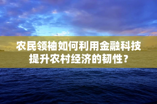 农民领袖如何利用金融科技提升农村经济的韧性？