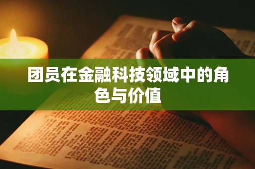 团员在金融科技领域中的角色与价值