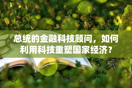 总统的金融科技顾问，如何利用科技重塑国家经济？
