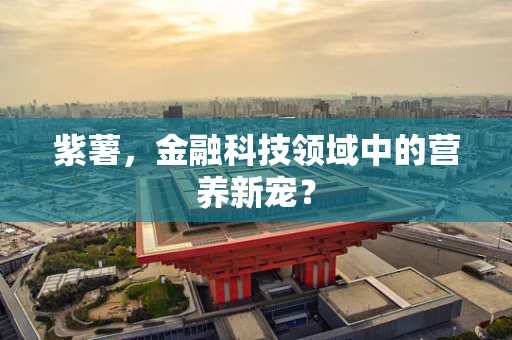 紫薯，金融科技领域中的营养新宠？