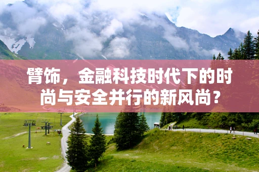 臂饰，金融科技时代下的时尚与安全并行的新风尚？