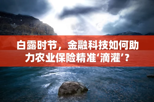 白露时节，金融科技如何助力农业保险精准‘滴灌’？