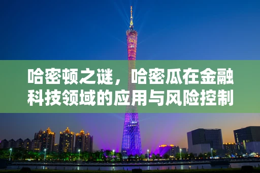 哈密顿之谜，哈密瓜在金融科技领域的应用与风险控制