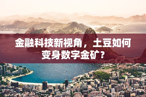金融科技新视角，土豆如何变身数字金矿？