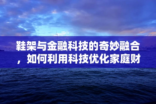 鞋架与金融科技的奇妙融合，如何利用科技优化家庭财务管理？