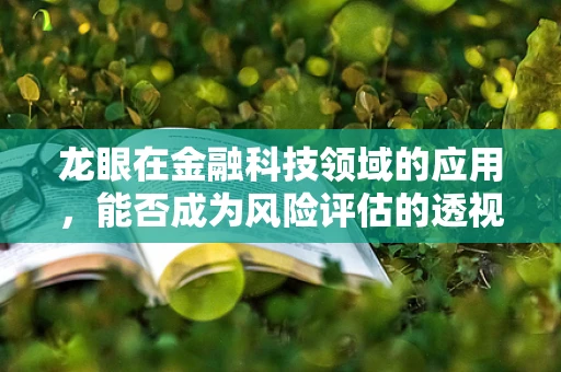 龙眼在金融科技领域的应用，能否成为风险评估的透视镜？