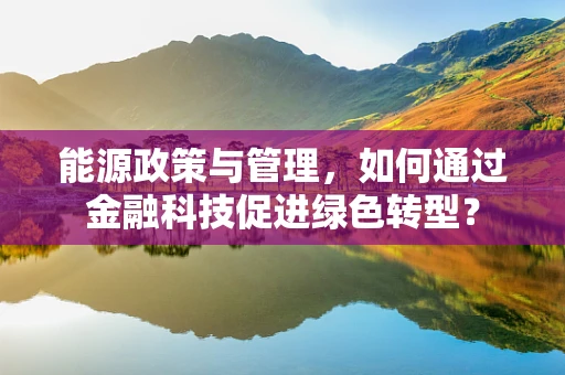 能源政策与管理，如何通过金融科技促进绿色转型？