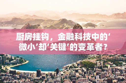 厨房挂钩，金融科技中的‘微小’却‘关键’的变革者？