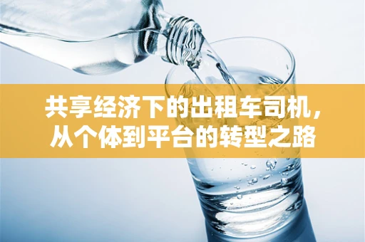 共享经济下的出租车司机，从个体到平台的转型之路