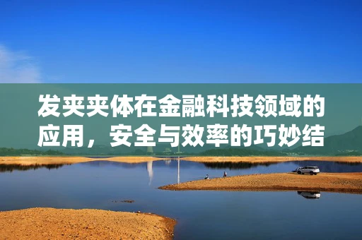 发夹夹体在金融科技领域的应用，安全与效率的巧妙结合？
