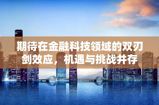 期待在金融科技领域的双刃剑效应，机遇与挑战并存