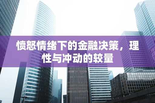 愤怒情绪下的金融决策，理性与冲动的较量