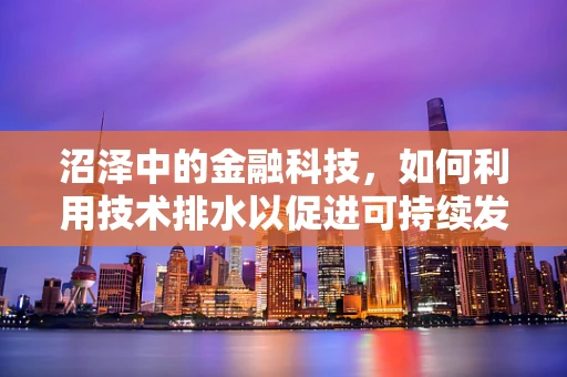 沼泽中的金融科技，如何利用技术排水以促进可持续发展？