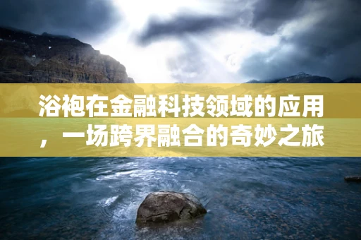 浴袍在金融科技领域的应用，一场跨界融合的奇妙之旅？