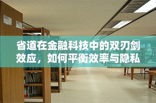省道在金融科技中的双刃剑效应，如何平衡效率与隐私？