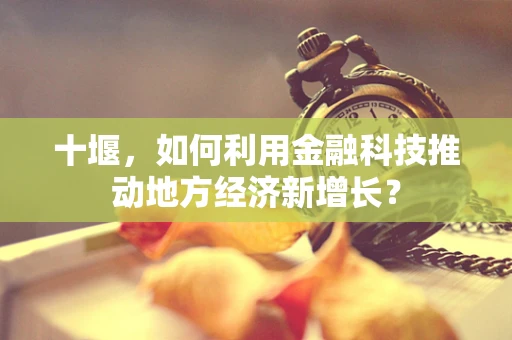 十堰，如何利用金融科技推动地方经济新增长？