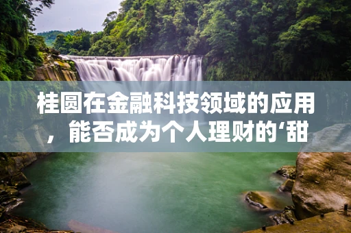 桂圆在金融科技领域的应用，能否成为个人理财的‘甜蜜’选择？