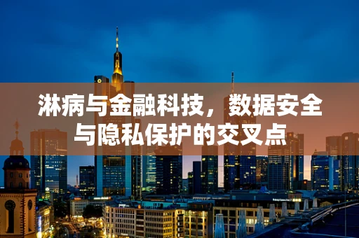 淋病与金融科技，数据安全与隐私保护的交叉点