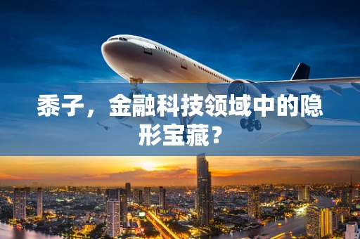 黍子，金融科技领域中的隐形宝藏？