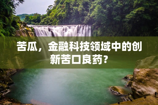 苦瓜，金融科技领域中的创新苦口良药？