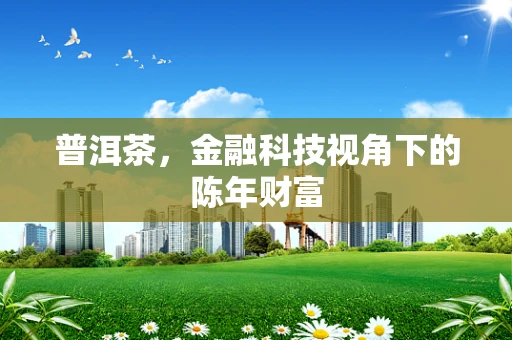 普洱茶，金融科技视角下的陈年财富