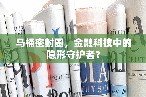 马桶密封圈，金融科技中的隐形守护者？