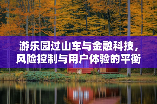 游乐园过山车与金融科技，风险控制与用户体验的平衡艺术