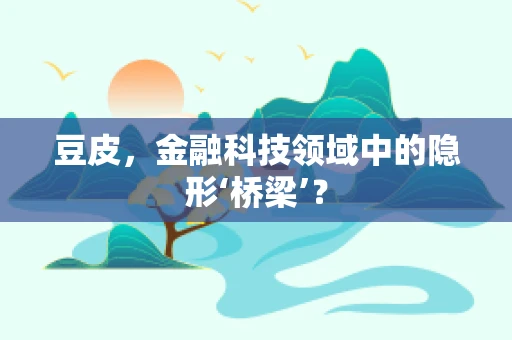 豆皮，金融科技领域中的隐形‘桥梁’？