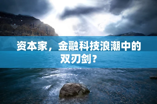 资本家，金融科技浪潮中的双刃剑？