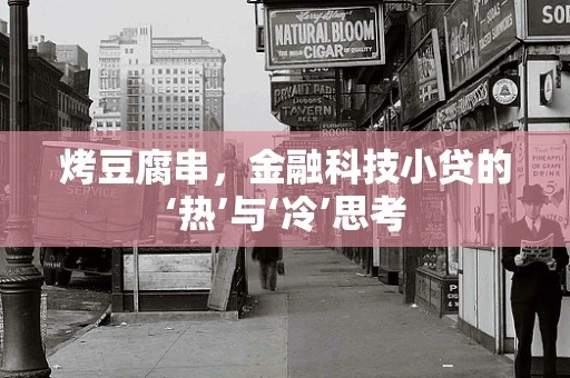 烤豆腐串，金融科技小贷的‘热’与‘冷’思考