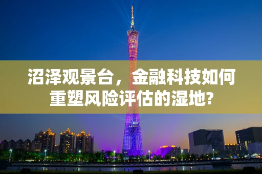沼泽观景台，金融科技如何重塑风险评估的湿地?