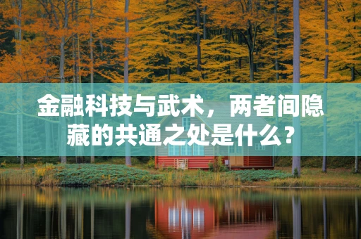 金融科技与武术，两者间隐藏的共通之处是什么？