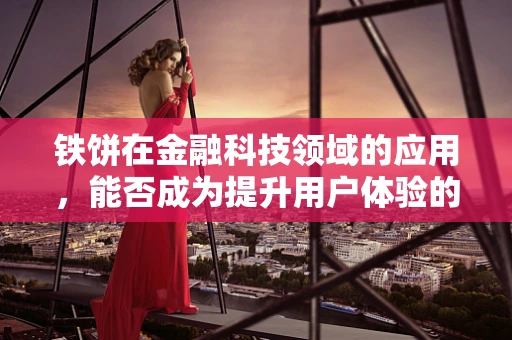 铁饼在金融科技领域的应用，能否成为提升用户体验的‘飞轮’？