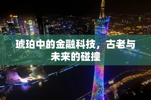琥珀中的金融科技，古老与未来的碰撞