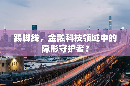 踢脚线，金融科技领域中的隐形守护者？