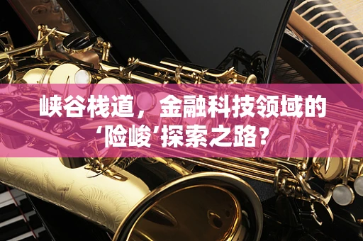 峡谷栈道，金融科技领域的‘险峻’探索之路？