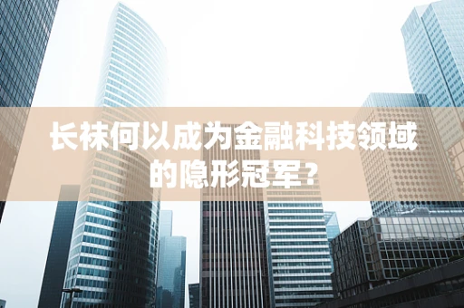 长袜何以成为金融科技领域的隐形冠军？