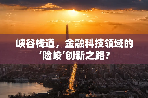 峡谷栈道，金融科技领域的‘险峻’创新之路？