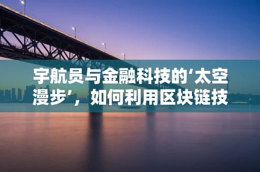 宇航员与金融科技的‘太空漫步’，如何利用区块链技术保障太空探索的财务透明？