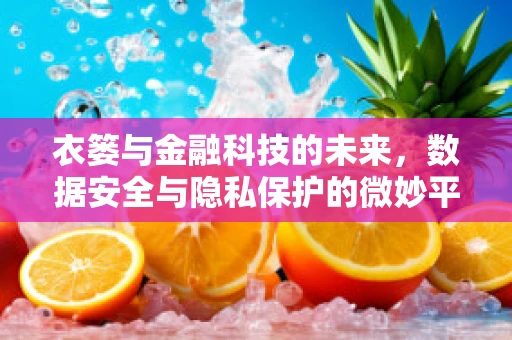 衣篓与金融科技的未来，数据安全与隐私保护的微妙平衡