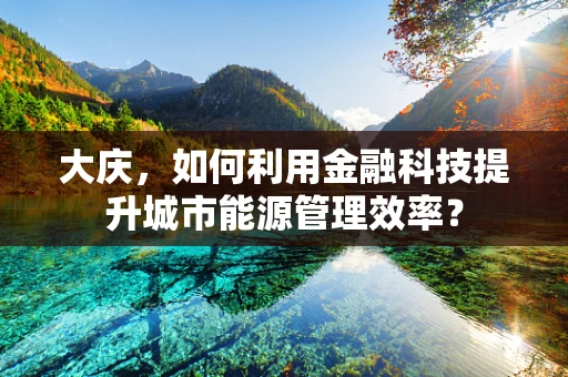 大庆，如何利用金融科技提升城市能源管理效率？